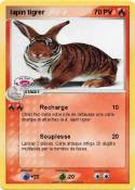 lapin tigrer