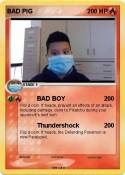 BAD PIG