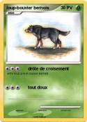 loup-bouvier
