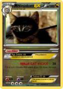 Ninjakatt