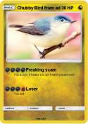 Chubby Bird