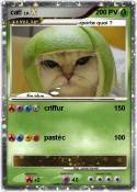 cat!