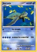 Sea turtle