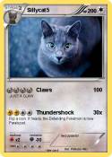 Sillycat5