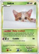 Softcat
