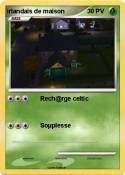 irlandais de