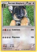 German Shepherd