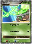 Torterra