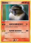 monkey