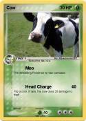 Cow