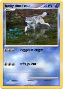 husky aime l'ea