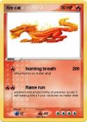 fire cat