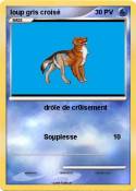 loup gris crois