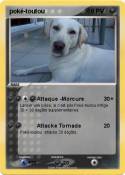 poké-toutou