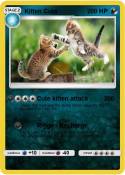 Kitten Cute