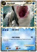big shark