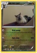MY FAT CAT