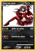 chow-lab mixte