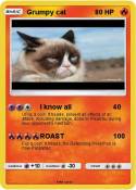 Grumpy cat