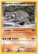 Heavy Racccoon
