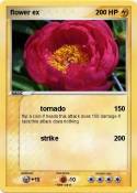 flower ex