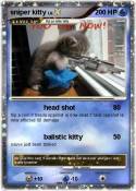 sniper kitty