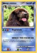 Moose
