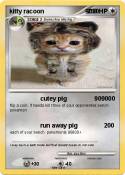 kitty racoon
