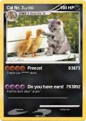 Cat Nr. 3