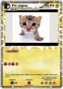 P'ti chaton