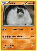 Fat Cat