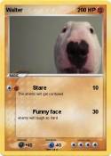 Walter