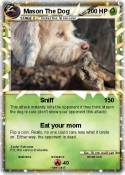Mason The Dog