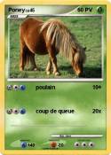 Poney