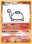 Mine Turtle