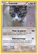 pokechat