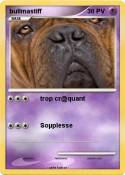 bullmastiff