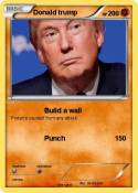 Donald trump