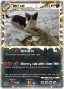 Thief cat