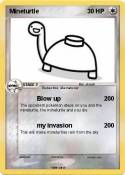 Mineturtle