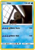 Otter