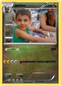 gardien