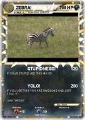 ZEBRA!