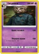 Cat general
