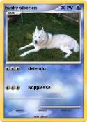 husky siberien