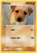 cute dog