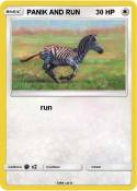 PANIK AND RUN