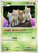 cats