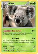 Koala