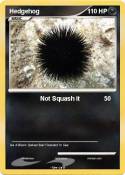 Hedgehog